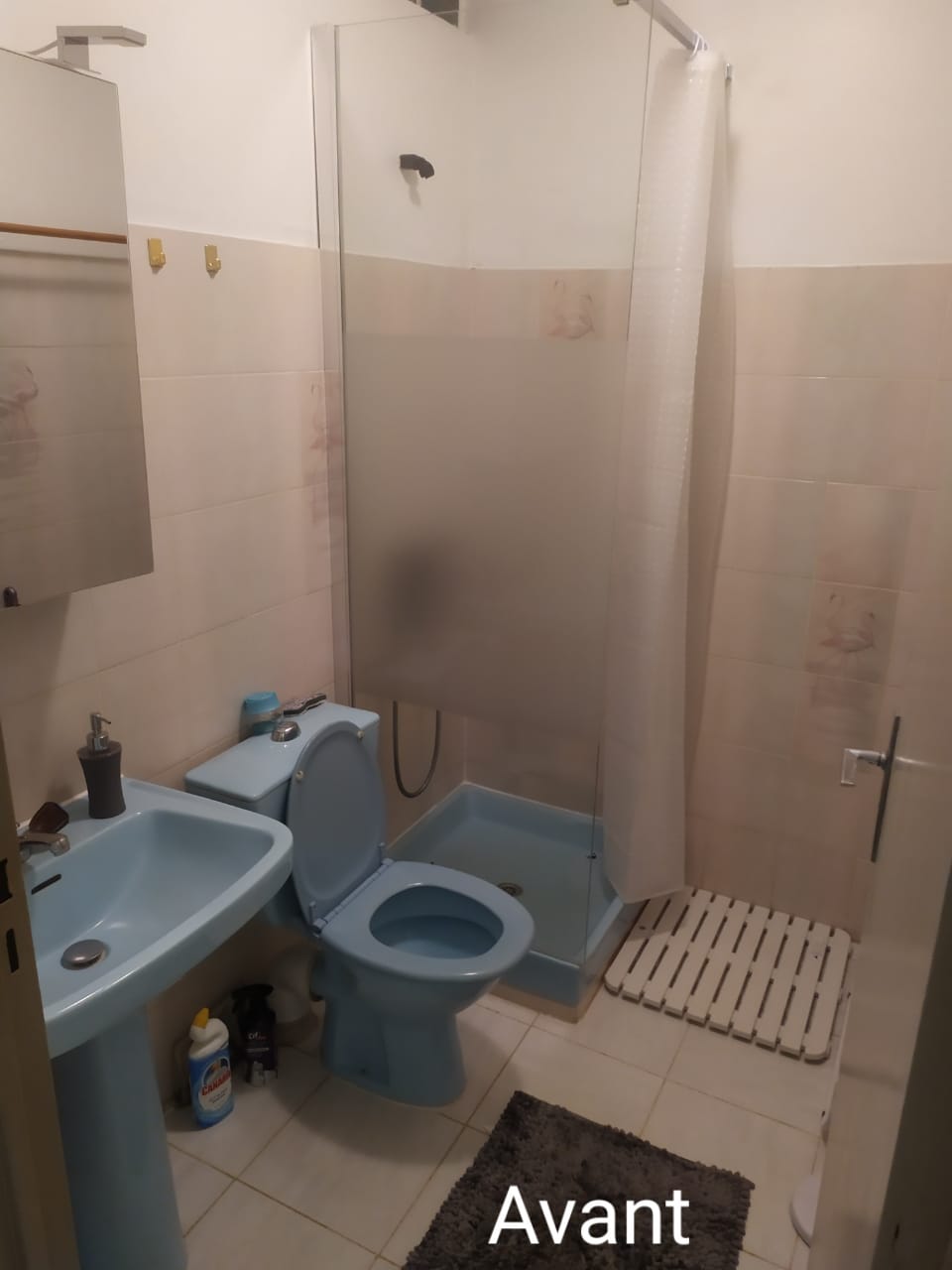 Avant - Rénovation moderne d’une salle de bain complète